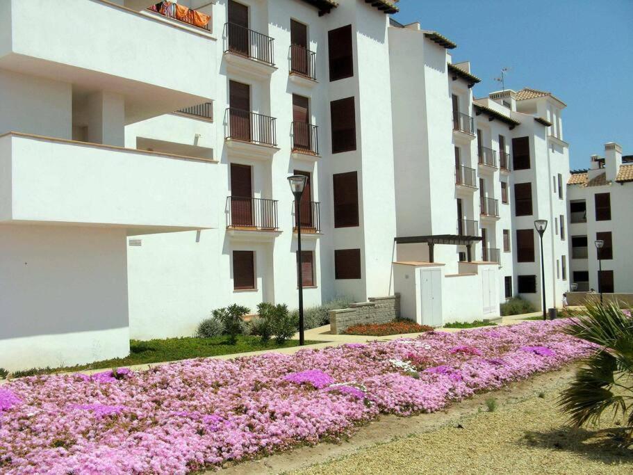 Venavera A-F1-3B- 1Dorm/1Bano 250M. Playa Wifi Daire Dış mekan fotoğraf